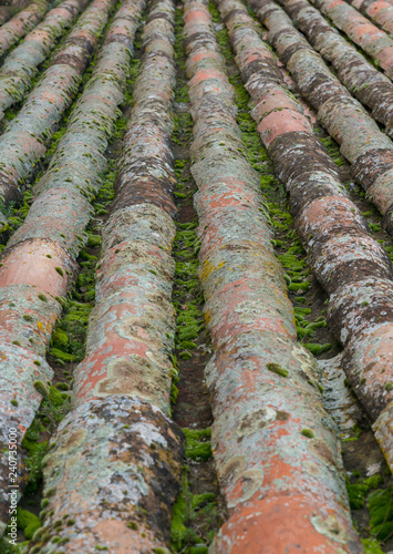 Old mossy roof