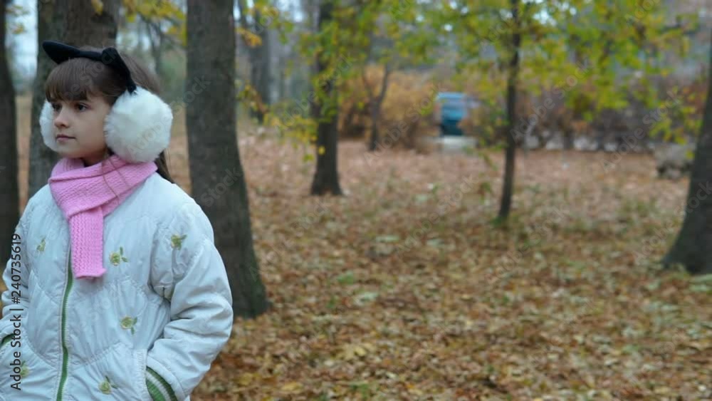 a little girl walks in the park in the autumn a little girl walks in the park in the autumn