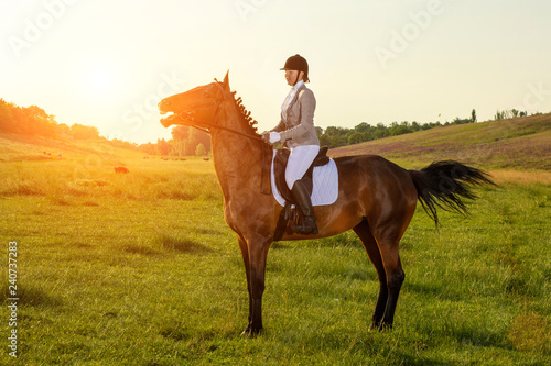 Young woman riding a horse on the green field © nazarovsergey