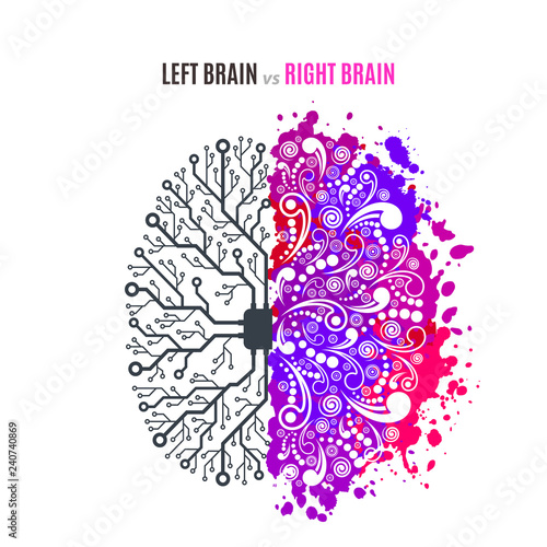 left and right brain concept