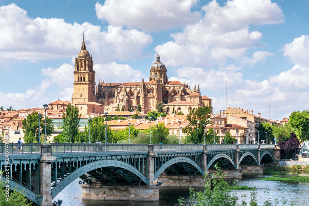 Salamanca with bridge over Tormes river and cathedral, Spain - obrazy, fototapety, plakaty 