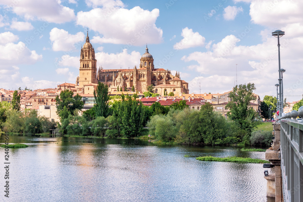 Salamanca with bridge over Tormes river and cathedral, Spain