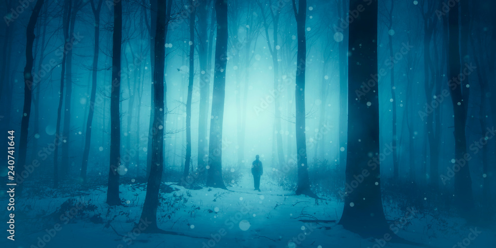 magical winter scene, man walking on snowy path in forest
