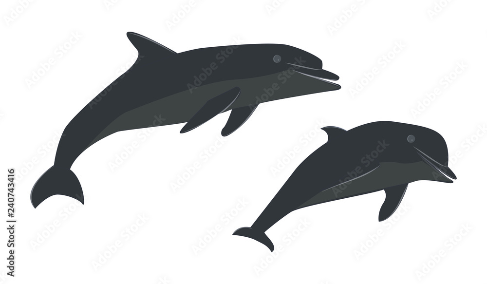 Fototapeta premium Two funny dolphins - flat style, isolated on white background - vector