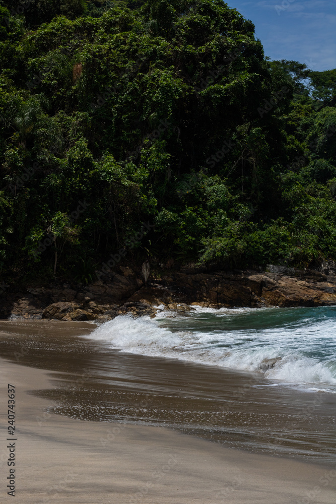 Obraz premium tropical beach