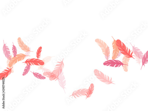 Falling feather elements soft vector design.