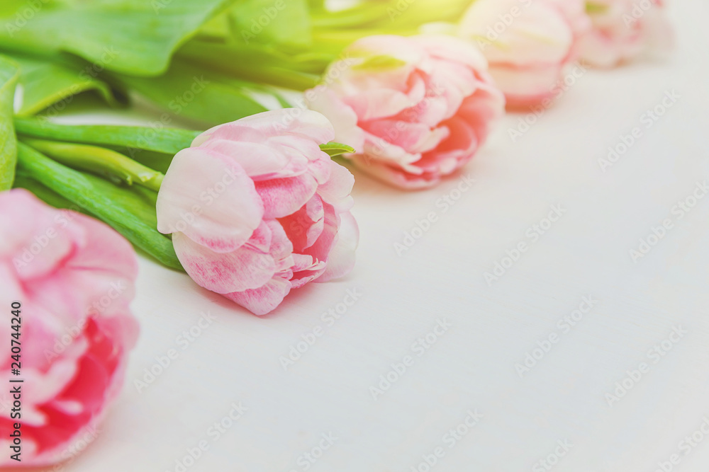 Spring greeting card. Bouquet of fresh light pastel pink tulips flowers on white wooden background. Happy holiday easter mother day anniversary valentine birthday concept. Flat lay top view copy space