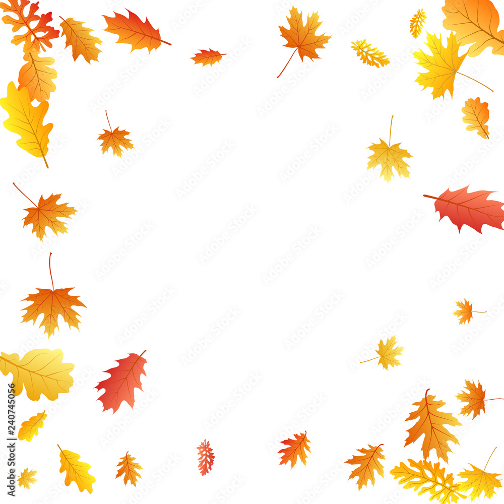 Oak, maple, wild ash rowan leaves vector, autumn foliage on white background. Oak, maple, wild ash rowan leaves vector, autumn foliage on white background.