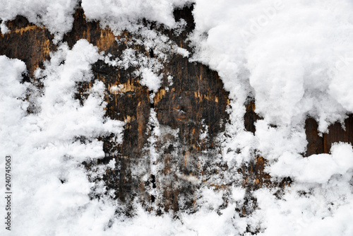 tree covered with snow © aykutkarahan