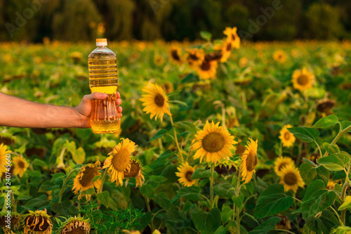 Wallpaper Mural Man's hand hold bottle of sunflower oil. Sunflower oil improves skin health Torontodigital.ca