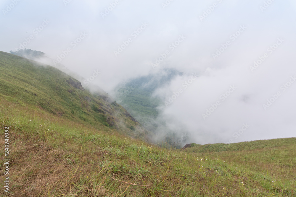 fog and green grass hill top of the mountain at mon jong doi, Thailand