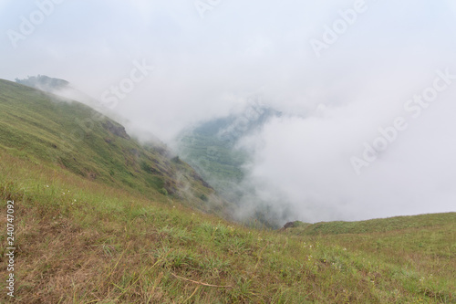 fog and green grass hill top of the mountain at mon jong doi, Thailand