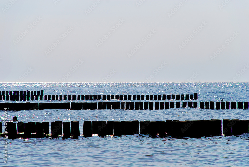 Coast protection at the baltic sea (Darss, Western beach, Germany): groynes in the evening