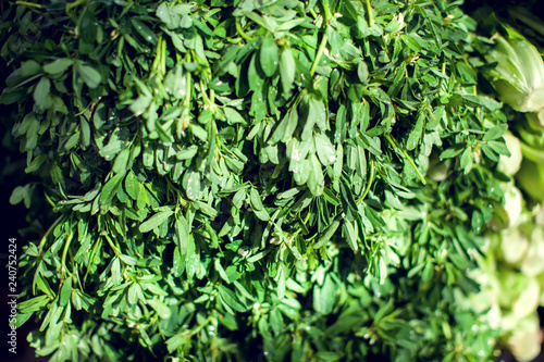 Fresh herbs dill, parsley, spinach, mint, wild garlic at market. © Aleksej