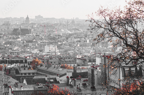 Panoramic view of Paris skyline in creative retouch. Aerial view, France, Europe.