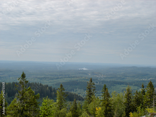 Landscape of a national park in Finland Kuopio green landscape