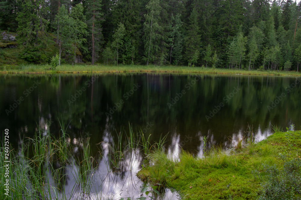Beautiful green landscape of Surroundings of Kuopio at summer