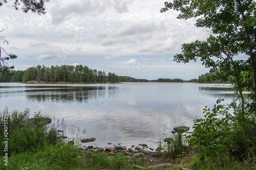 Fototapeta Naklejka Na Ścianę i Meble -  Landscape of Kuopio forest close to the lakes