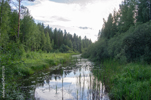 Landscape of Kuopio surroundings