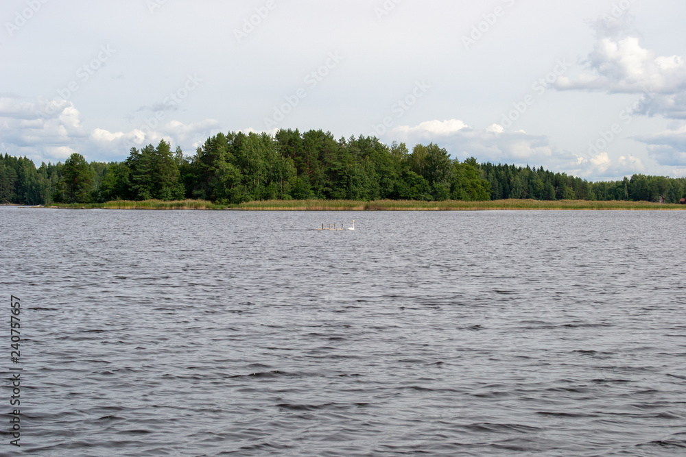 Landscape of the lakes in Kuopio Finland at sunny day summer