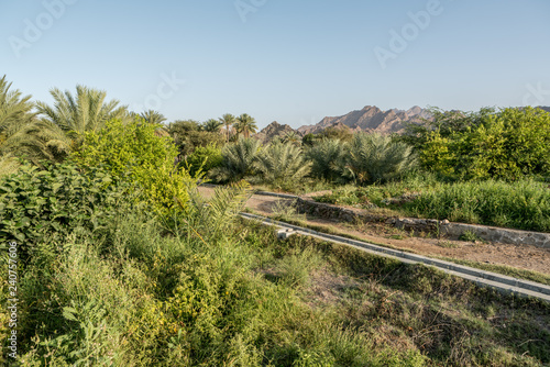Canvas Print Farm with falaj irrigation system in Hatta, an enclave of Dubai in the Hajar Mou