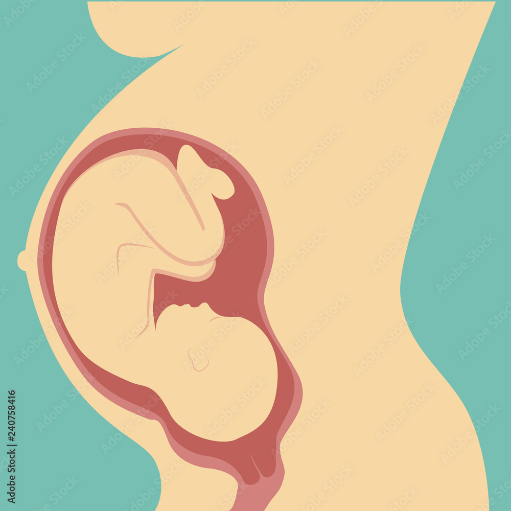 The maternal concept, pregnancy and the birth of the baby. Pregnant woman or the birth of a healthy child. Modern, simple vector illustration. The maternal concept, pregnancy and the birth of the baby. Pregnant woman or the birth of a healthy child. Modern, simple vector illustration.