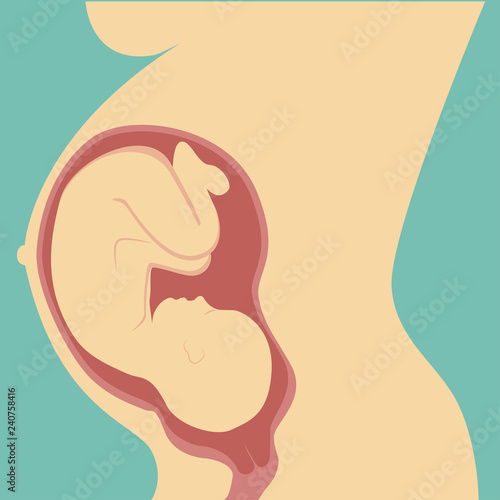 The maternal concept, pregnancy and the birth of the baby. Pregnant woman or the birth of a healthy child. Modern, simple vector illustration.