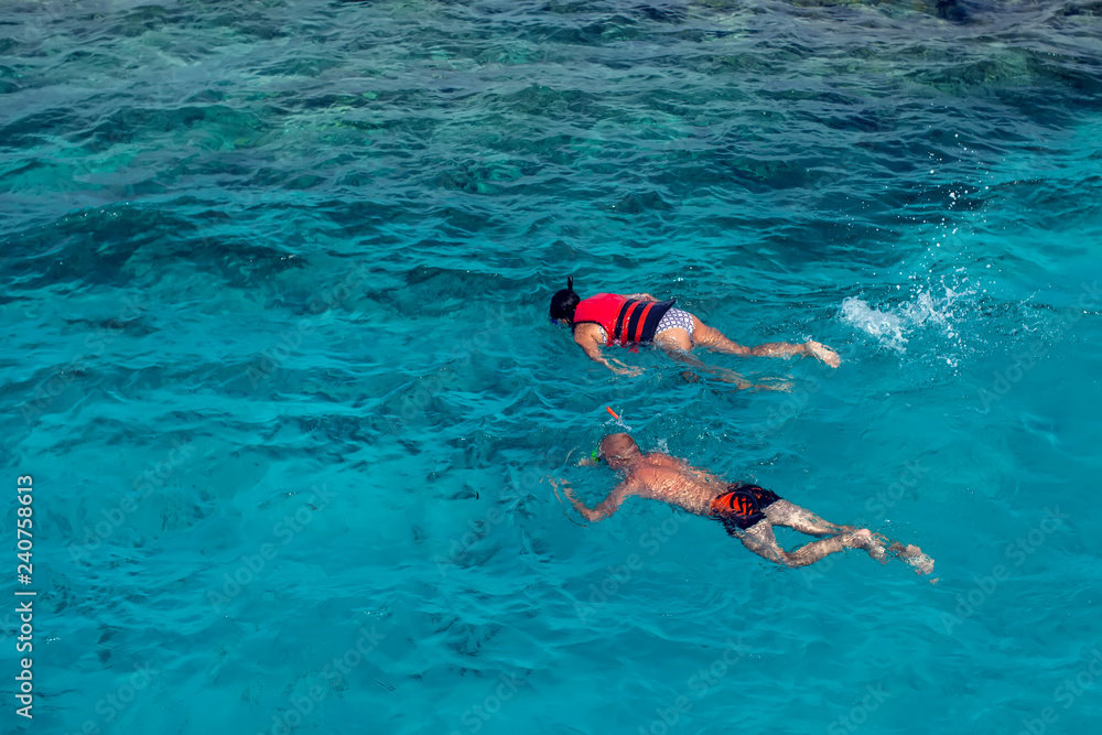 Top view of people snorkeling in the sea. Holiday and travel concept