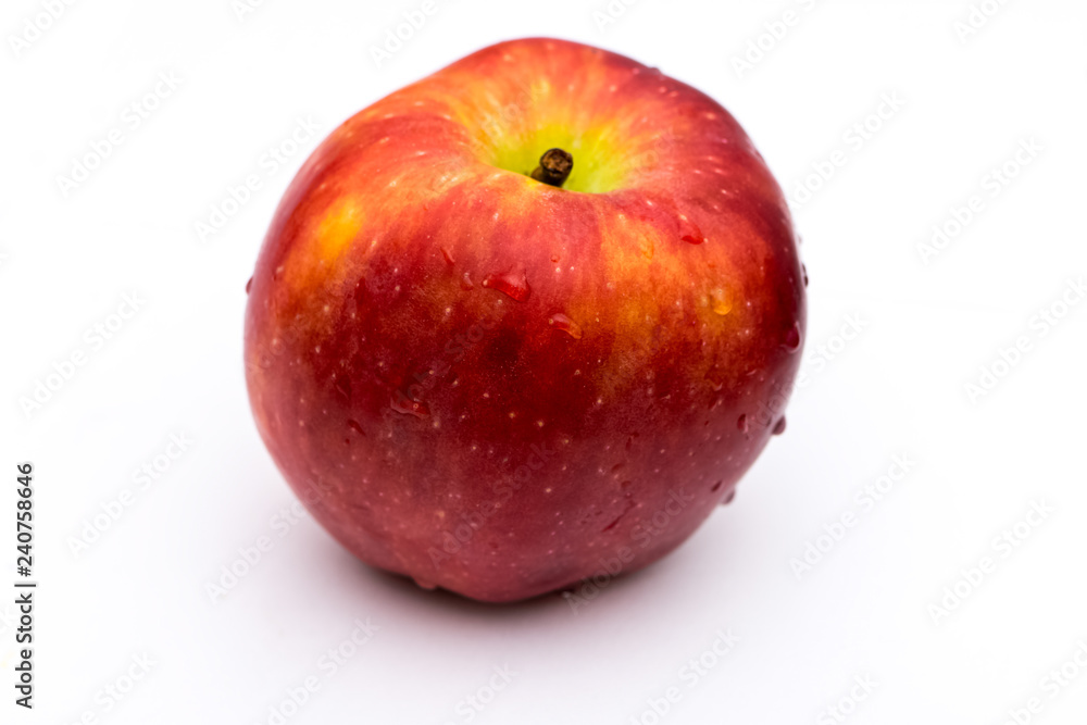 Two whole peaches on the white background Two whole peaches on the white background