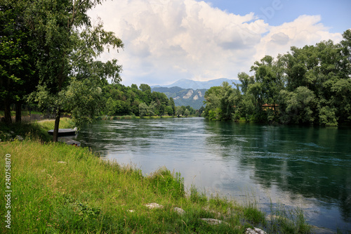 vegetazione lungo il fiume Adda - Lombardia