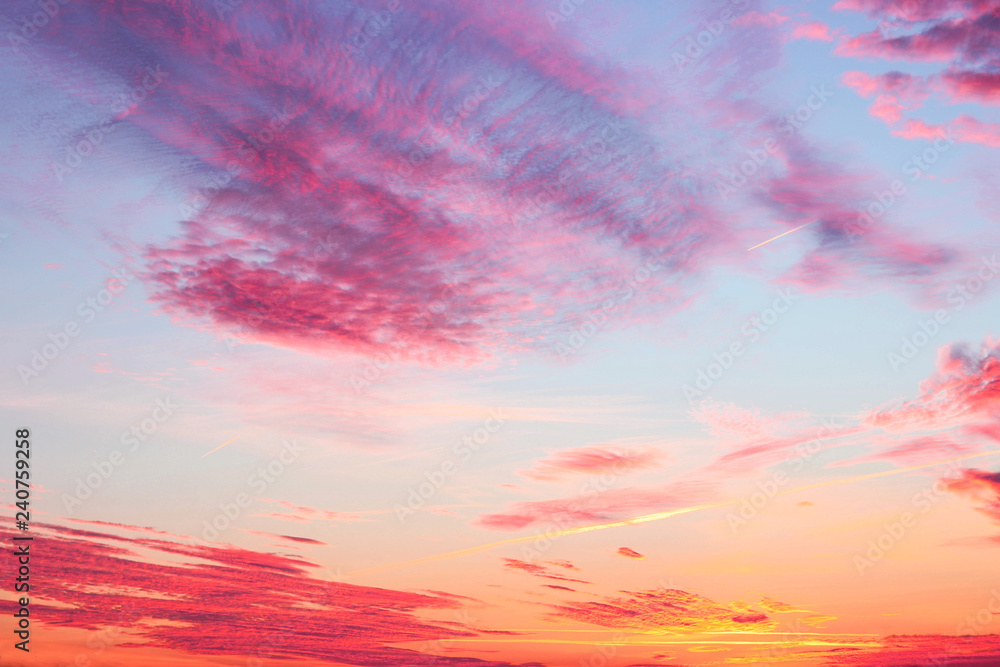 Bright pink sunset