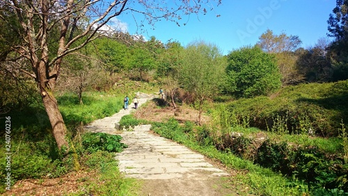 Фотография Portuguese Way of Santiago near Pontevedra, Spain
