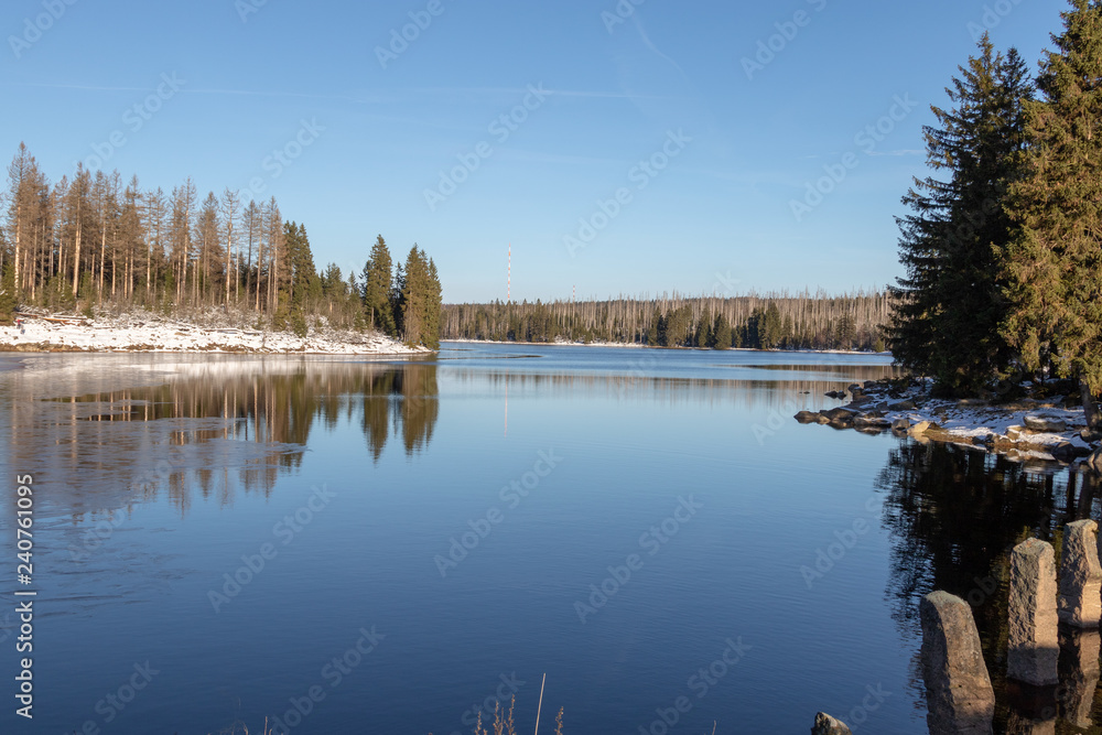 reflection of trees in water in winter under blue cloudless sky in harz region in germany reflection of trees in water in winter under blue cloudless sky in harz region in germany