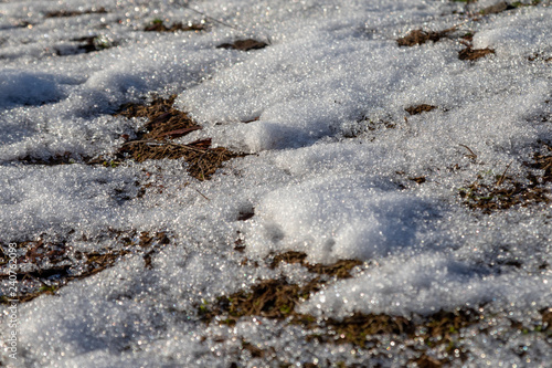 ice on the grass in winter