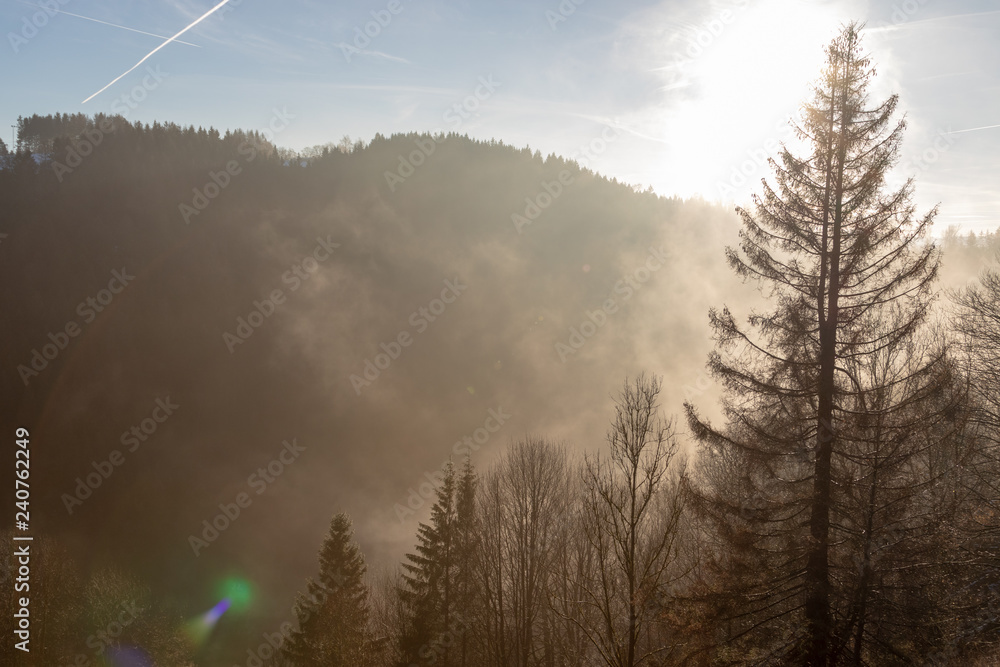 fog in the mountains in the morning over the mountains in the harz region in germany fog in the mountains in the morning over the mountains in the harz region in germany