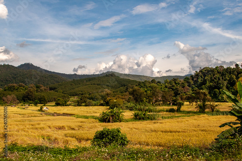 Hügellandschaft in den Bergen von Thailand