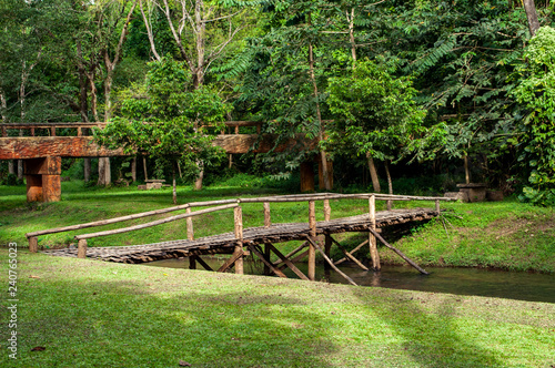 kleine Holzbrücke im Nationalpark in Thailand