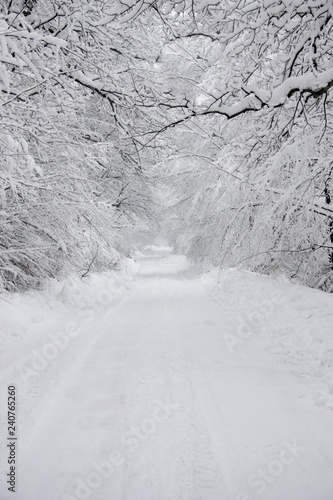 Heavy snow on the road through a forest