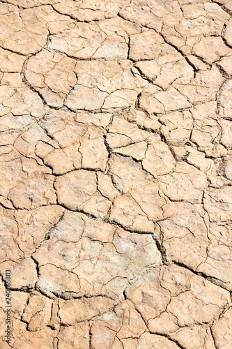 Dry mud background