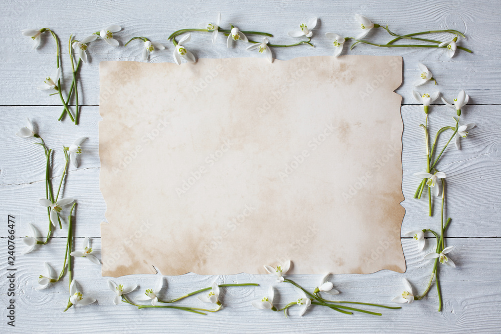 Snowdrops on a wooden background and paper for text. Snowdrops on a wooden background and paper for text.