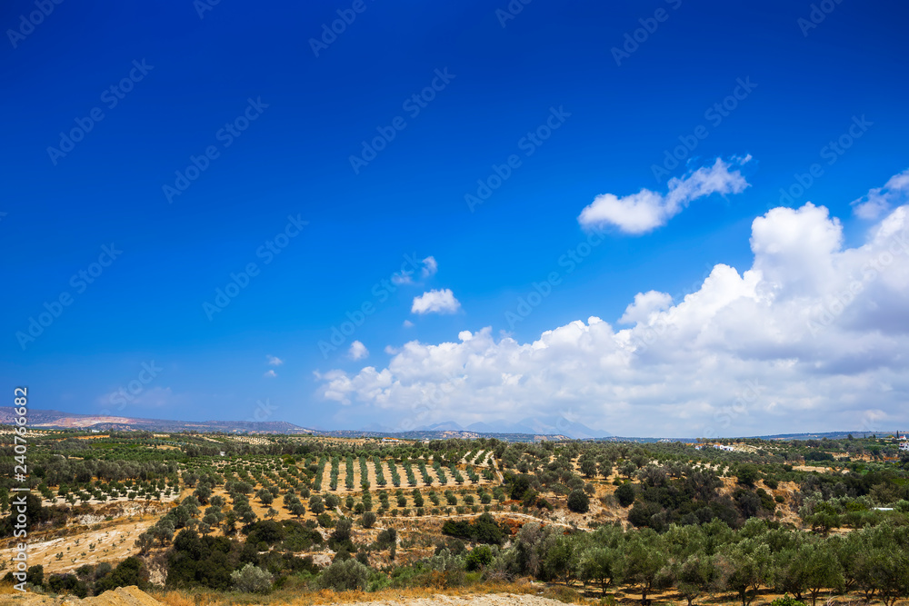Landscape of Crete island in Greece. Olive tree groves, hills and fields.