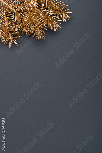 Creative decoration pattern with golden Christmas tree branches. Concept