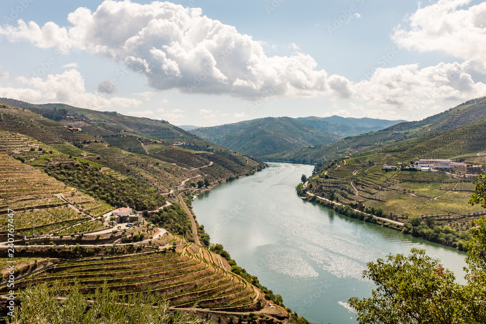 Douro Valley in Portugal