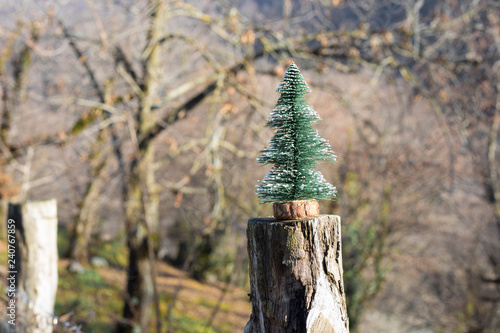 Christmas and New Year concept. Small gift at nature during sunlight. Empty space. No snow photo