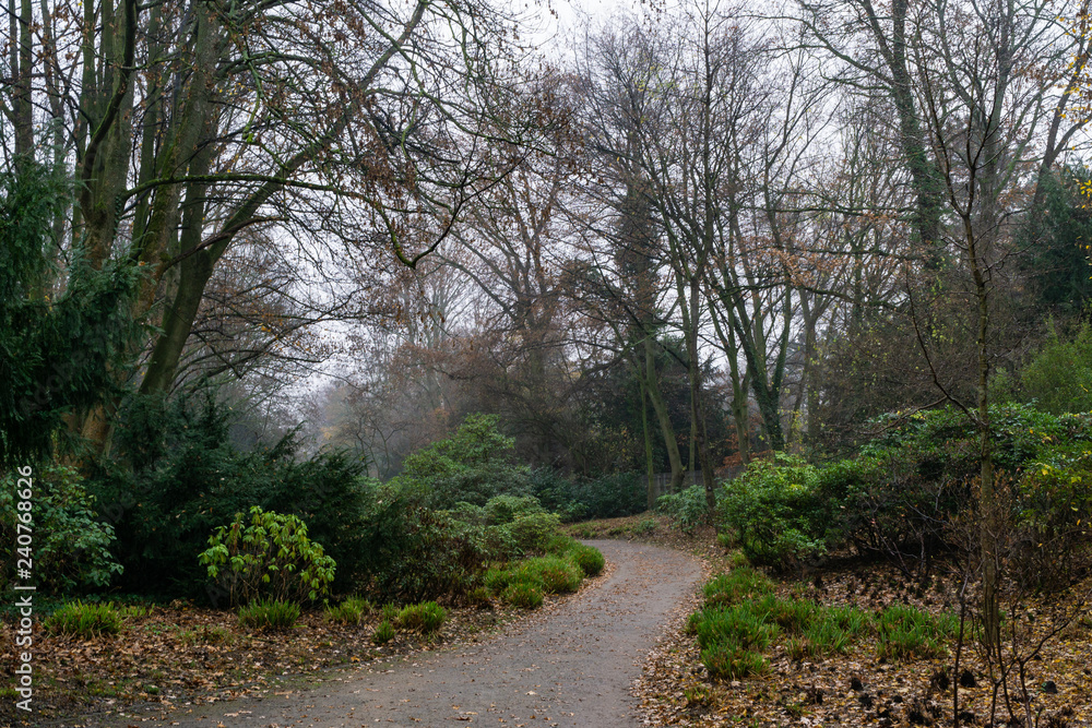 Obraz premium Path in park