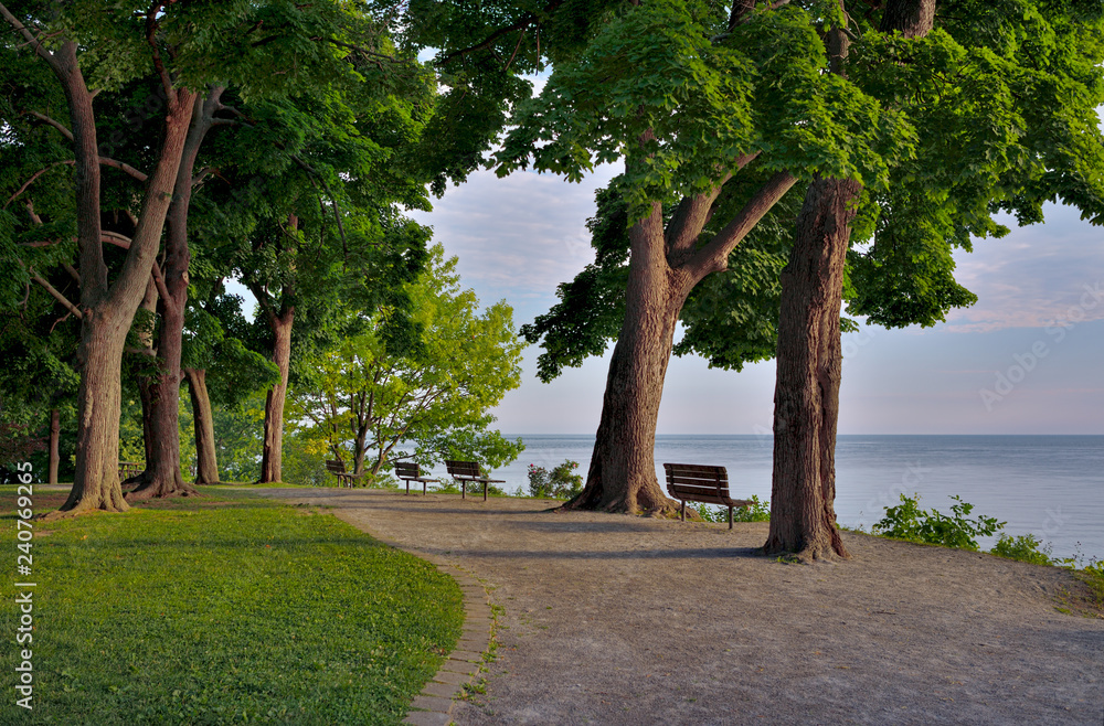 A path in Queen's Royal Park weaves between large trees from a Carolinian forest along the shore of Lake Ontario with a blue pink morning sky and benches