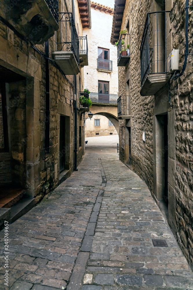 Fototapeta premium Callejon medieval en Sos del Rey Católico. Zaragoza España. Europa.