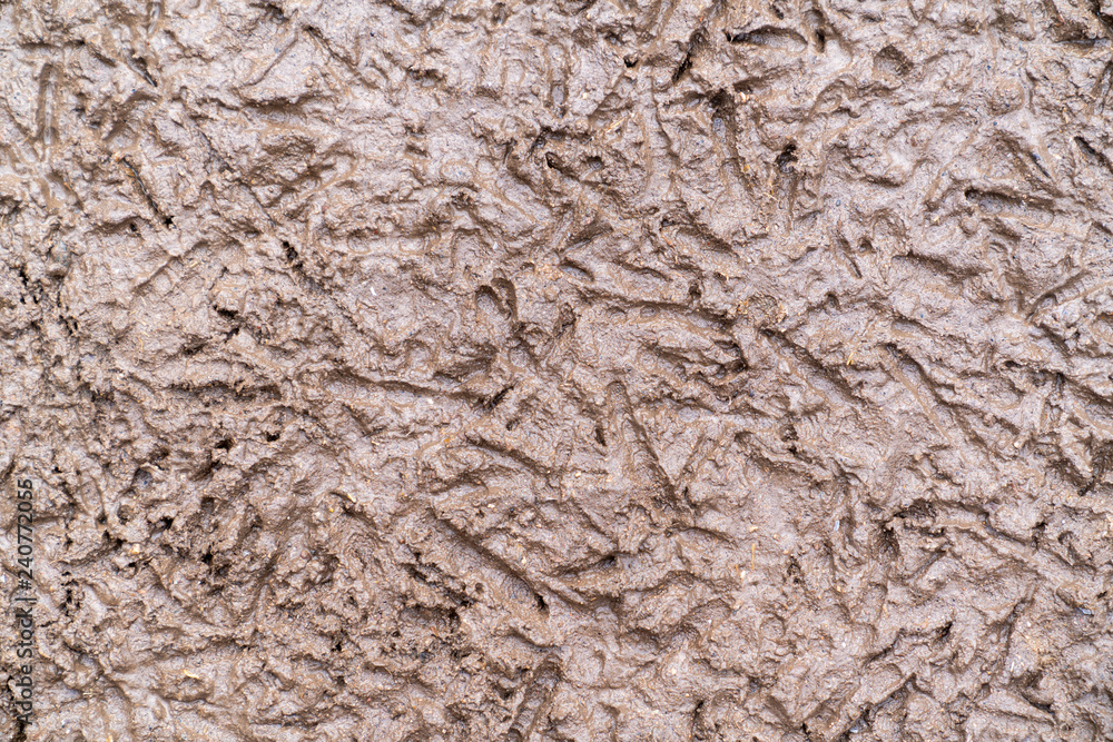 Cage-free chicken footprints on the mud. Cage-free chicken footprints on the mud.
