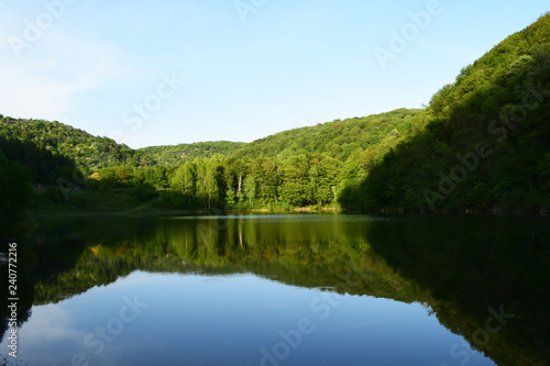 Forest reflection, calm lake view