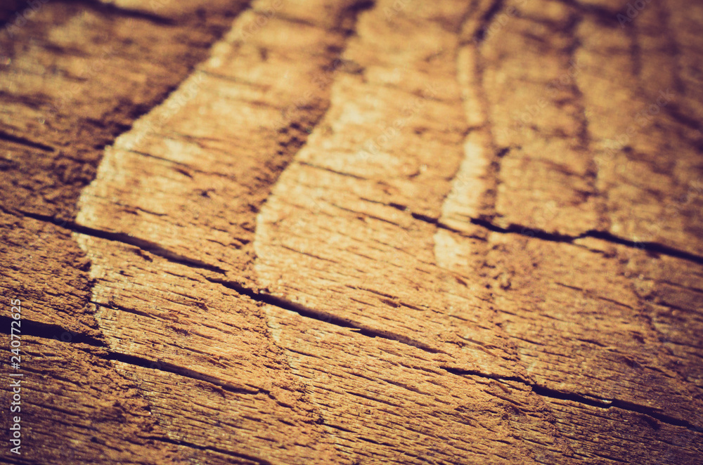 Obraz premium wooden background
